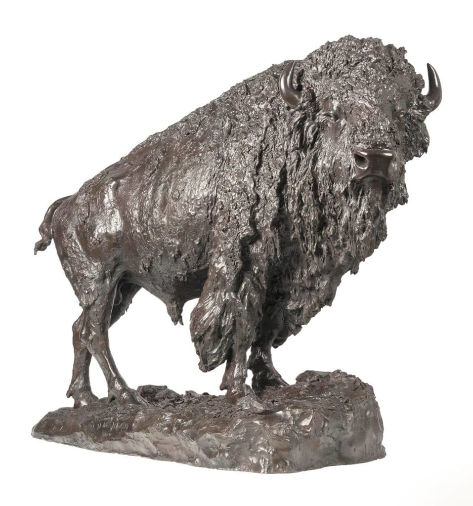 Elk Buffalo by Henry Merwin Shrady